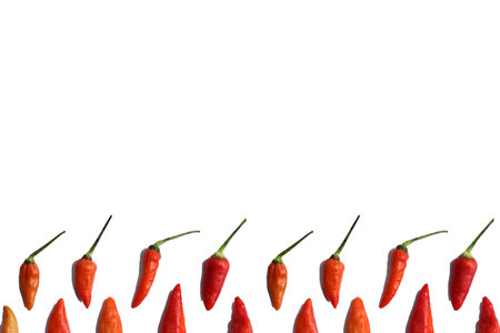 Chili Pepper spice placed on white background can use for your messages