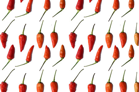 Chili Pepper spice placed on white background can use for your messagesの写真素材