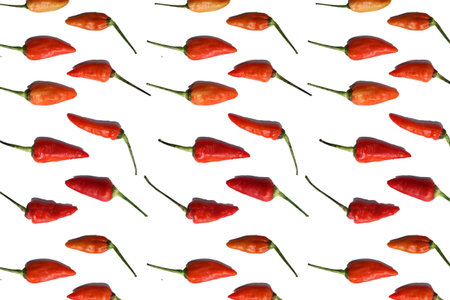 Chili Pepper spice placed on white background can use for your messagesの写真素材