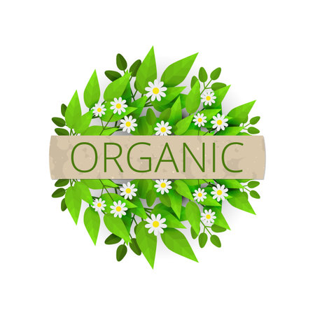 Circle floral banner with fresh leaves and chamomile flowers. Organic label. Green plants and flowers composed in circle shape with typography. Bio eco badge isolated on white background.のイラスト素材