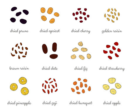 Hand drawn colored detailed dried fruits. Healthy nutritive food. Raisin, dried cherry, strawberry, goji, apricot, prune, apple, pineapple, date, fig, kumquat. Sun dried fruits set.のイラスト素材