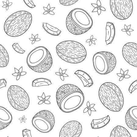 Black and white seamless pattern with  coconuts and tropical flowers.のイラスト素材