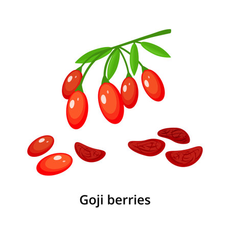 Bunch of goji berriesのイラスト素材