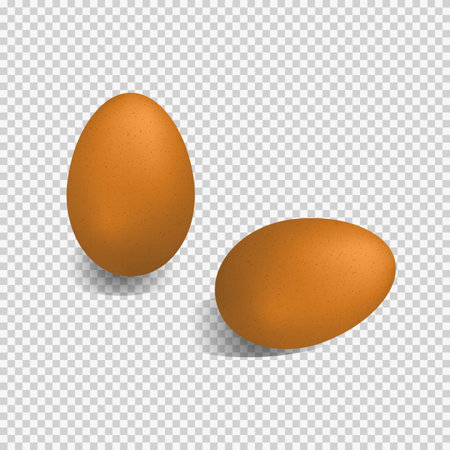Brown realistic eggs.のイラスト素材