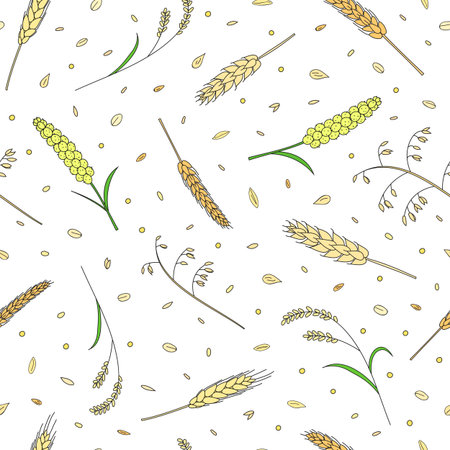 Natural seamless pattern with hand drawn cereals and grains.のイラスト素材