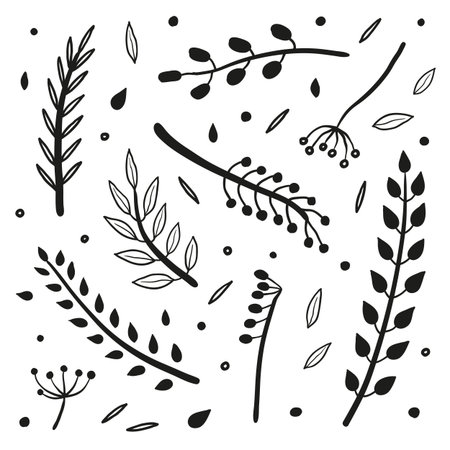 Collection of hand drawn twigs with berries and leaves isolated on white background.のイラスト素材