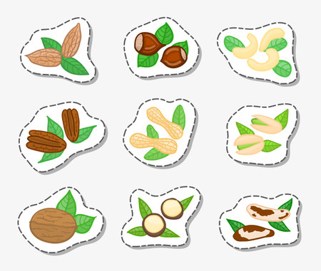 Stickers with doodle nuts isolated on white background. Almond, hazelnut, cashew, pecan, peanut, pistachio, walnut, macadamia, brazil.のイラスト素材