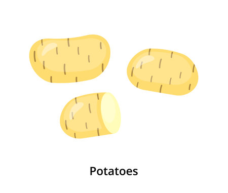 Group of cartoon yellow potatoes isolated on white background.のイラスト素材