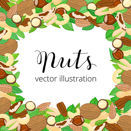 Square background with doodle colored nuts, leaves and lettering. Detailed frame design. Used clipping mask.のイラスト素材