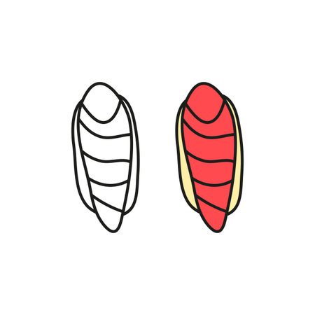 Doodle colored and outline maguro sushi with tuna fish isolated on white background.のイラスト素材