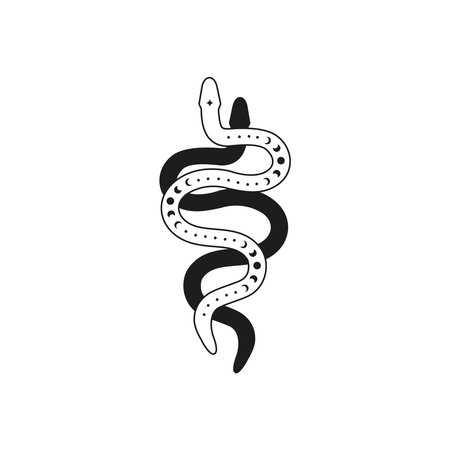 Two boho celestial snakes black and outline with moon phases isolated on white background. Bohemian...