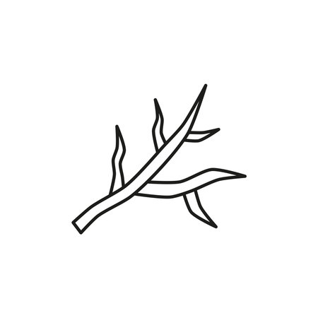 Doodle outline tree branch icon isolated on white background.のイラスト素材