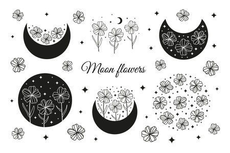 Boho moon flowers hand drawn set. Bohemian crescents, wildflowers and stars isolated on white background.のイラスト素材