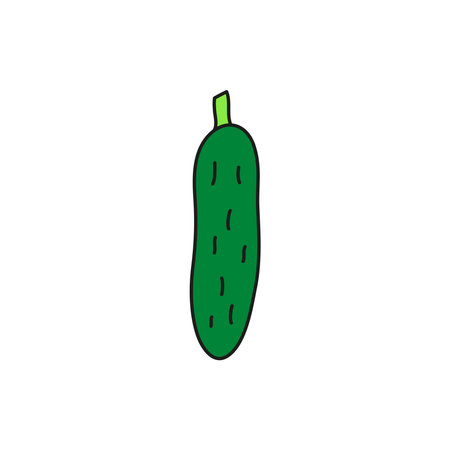 Doodle colored cucumber isolated on white background. hand drawn vegetables.のイラスト素材