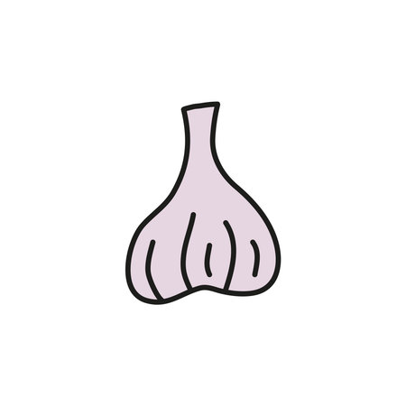 Doodle colored garlic isolated on white background. hand drawn vegetables.のイラスト素材