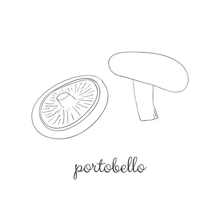 Doodle outline portobello mushroom isolated on white background.のイラスト素材