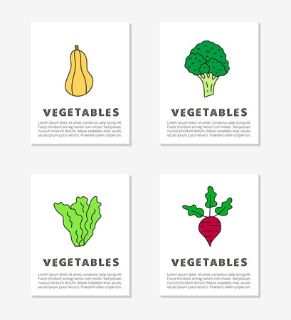 Cards with text and cute doodle colored food vegetable icons including broccoli, butternut, lettuce and beet.のイラスト素材