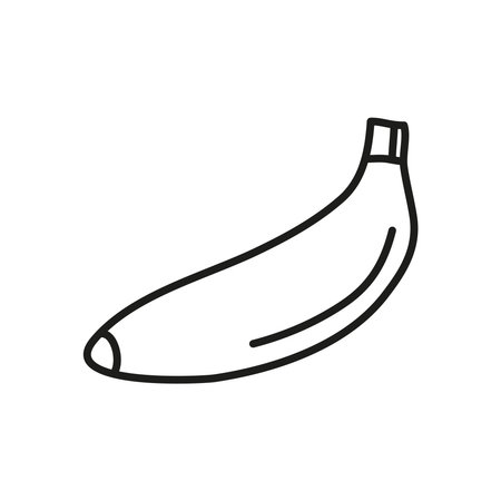 Doodle outline single banana fruit icon isolated on white background.のイラスト素材