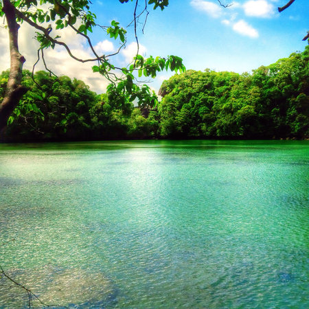 Beauty Of Indonesiaの素材