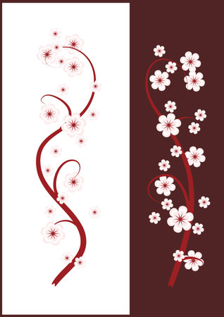 Blossoming cherry branches for white and brown background.のイラスト素材