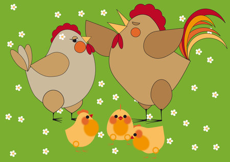 Chicken familyのイラスト素材