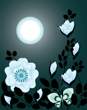 blue rose in the night skyのイラスト素材