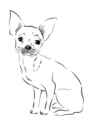 Toy Terrier. sketch of a little dog on a white backgroundのイラスト素材