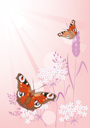 Summer pink background with flowers and butterfliesのイラスト素材