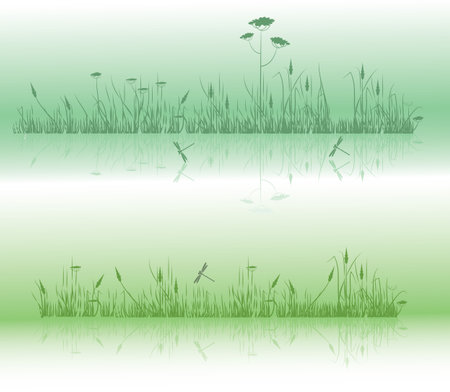 grass and dragonfliesのイラスト素材