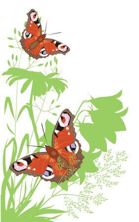 bright butterflies of wildflowers grassのイラスト素材