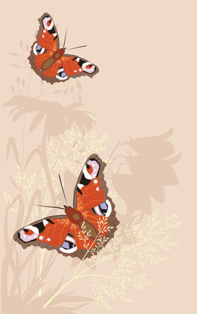 bright butterflies of wildflowers grassのイラスト素材