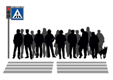 People stand in a crosswalkのイラスト素材