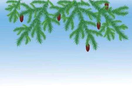 Spruce branches with cones のイラスト素材