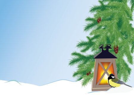 fir branches, flashlight and titのイラスト素材