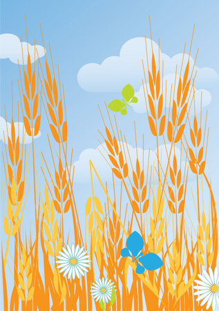 ripe yellow ears of corn and flowers on fieldのイラスト素材