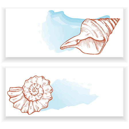 sea shells two bannersのイラスト素材