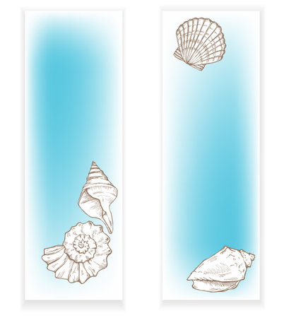 sea shells two bannersのイラスト素材