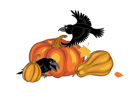 crows and pumpkins on a white background. vector illustrationのイラスト素材