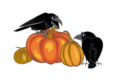 crows and pumpkins on a white background. vector illustrationのイラスト素材
