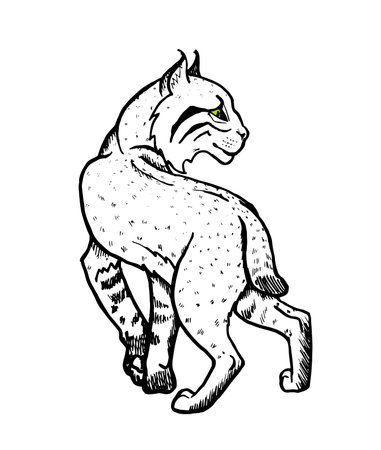 Forest lynx, graphic black and white vector illustrationのイラスト素材