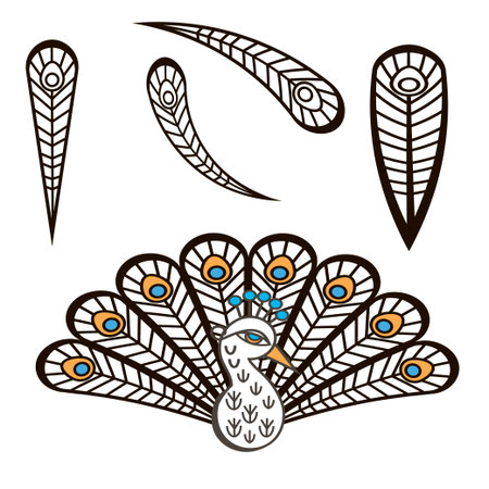 Peacock, stylized bird with luxurious tail, isolated on white background, vector illustrationのイラスト素材