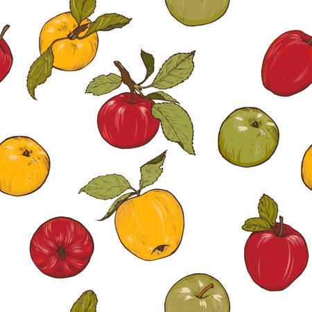 Red, yellow and green apples on white background, vector seamless patternのイラスト素材