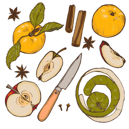 Whole apples, cut into halves and slices, spices and berries, set, vector illustrationのイラスト素材