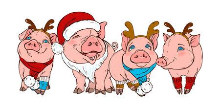 Pigs in Christmas costumes, vector illustrationのイラスト素材