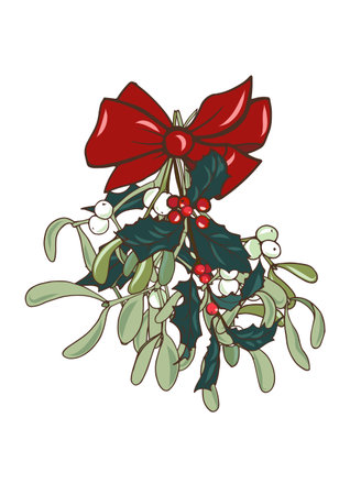Christmas plants, mistletoe bouquet with red bow on white background, vector illustrationのイラスト素材