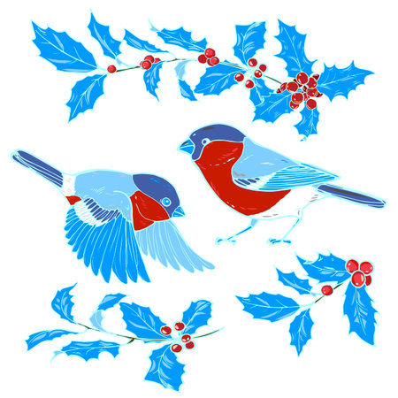Holly and bullfinches, isolated on white background, vector illustrationのイラスト素材