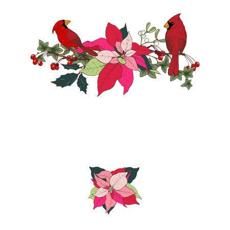 Christmas banner, banner with traditional Christmas plants poinsettia and Holly and birds, vector illustrationのイラスト素材
