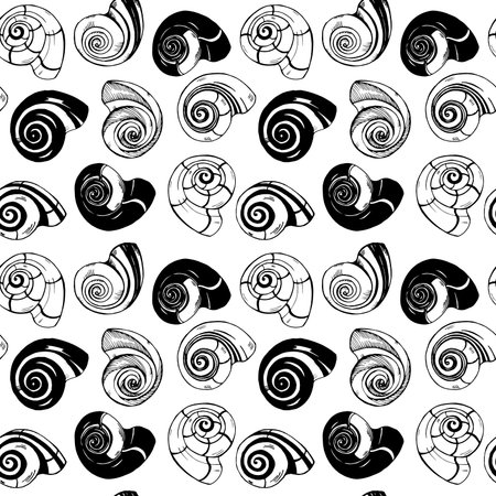 various seashells, monochrome seamless vector patternのイラスト素材