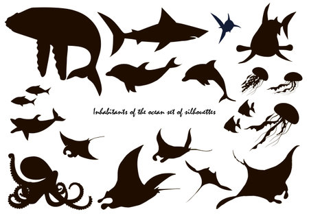 Fish and marine animals silhouettes, sea waves, dolphins, sharks, whale and octopus, vector illustrationのイラスト素材