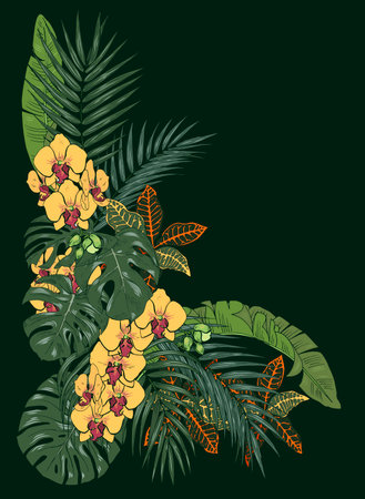 Tropical plants and flowers, palm and monstera leaves, Orchid  flowers, vector illustrationのイラスト素材